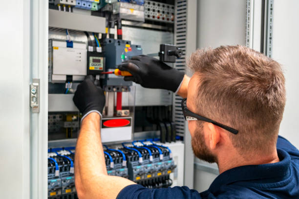 Best Electric Panel Repair  in Safety Harbor, FL