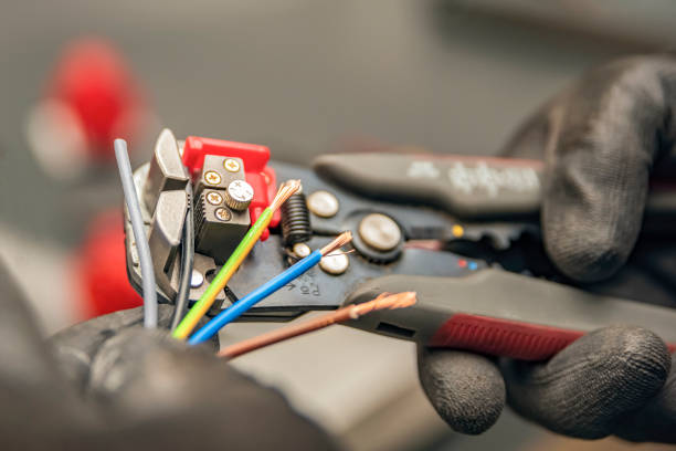 Best Local Electrician Companies  in Safety Harbor, FL